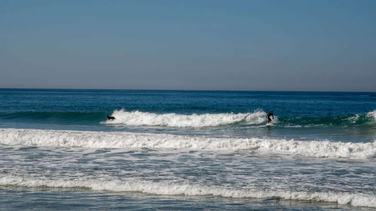 Catching a Wave at Seaside Beach