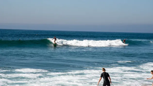 Two Surfers on a Wave Left and Right at Tamarack Surf Beach