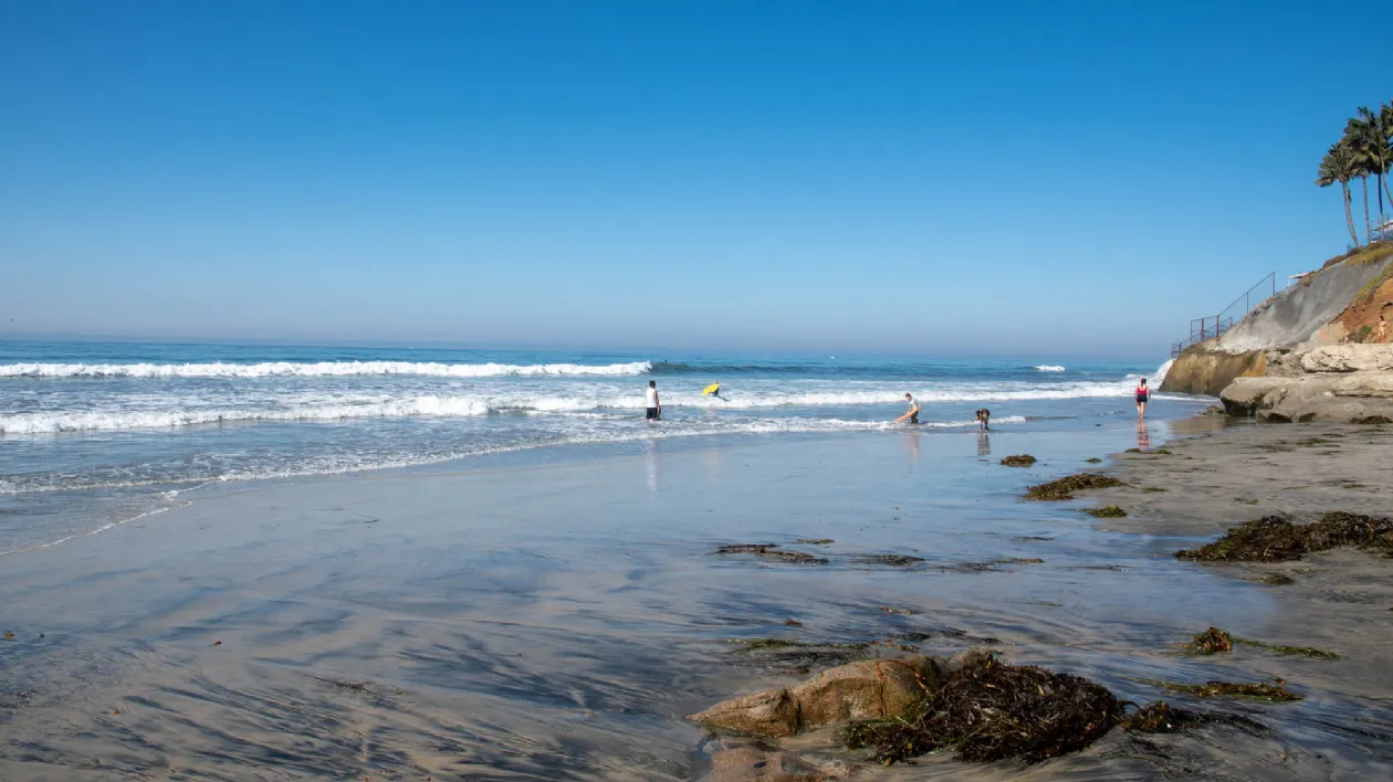 Playing on the Beach at Terramar Beach
