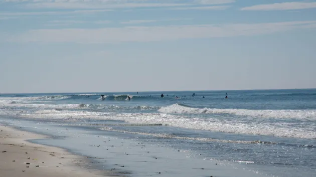 Surfers Catching a Wave at Warm Water Jetty Beach