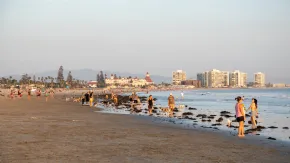 North Beach at Coronado