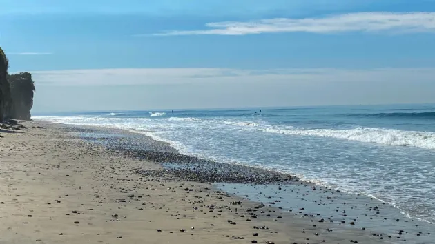 A Few Surfers Surfing Boneyards