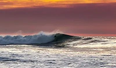 Bring Your Camera Or Your Surfboard To Picturesque Hospital Beach In La Jolla Go Visit San Diego Bring Your Camera Or Your Surfboard To Picturesque Hospital Beach In La Jolla Go Visit San Diego