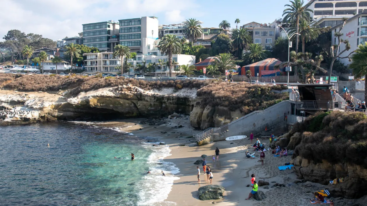People Having Fun at the La Jolla Cove