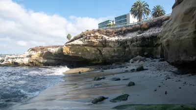 4 Best Spots to See Seals and Sea Lions in La Jolla