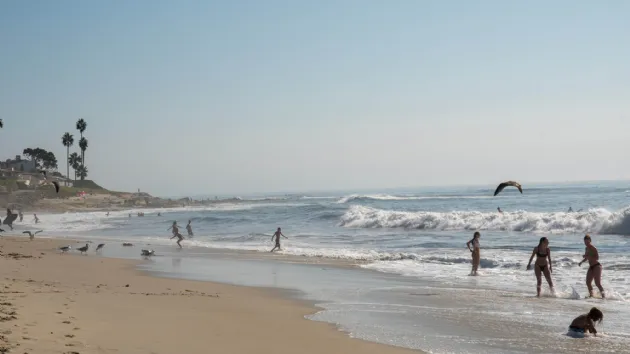 Enjoying the Surf at Marine Street Beach
