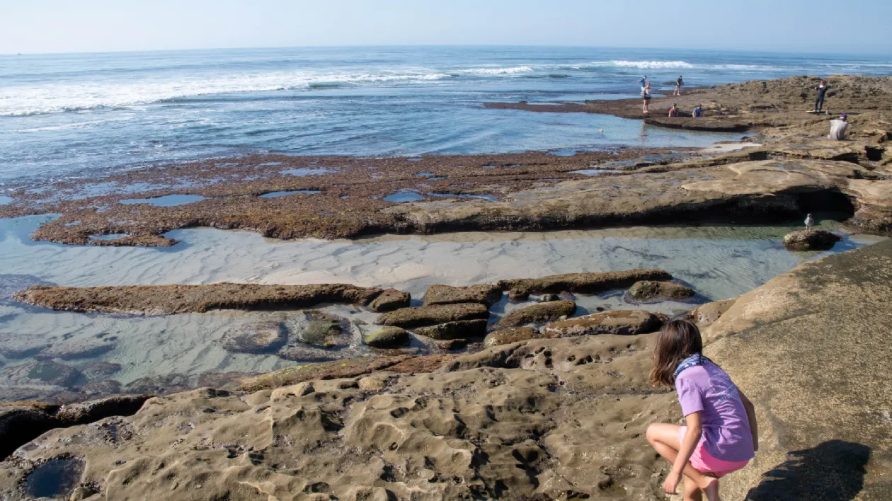 Checking Out the Tide Pools at Marine Street Beach