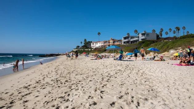 We Love Windansea Beach