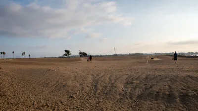 Dogs Can Run Free in the Dog Park at Fiesta Island