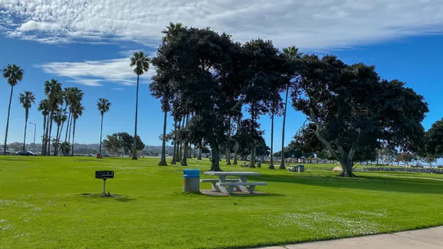 Picnic Table and Bbq at Mission Point Park