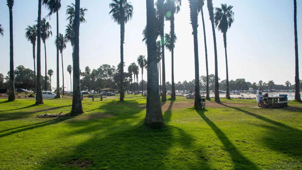 Trees, Picnic Tables and a View of Mission Bay at Ventura Cove Park