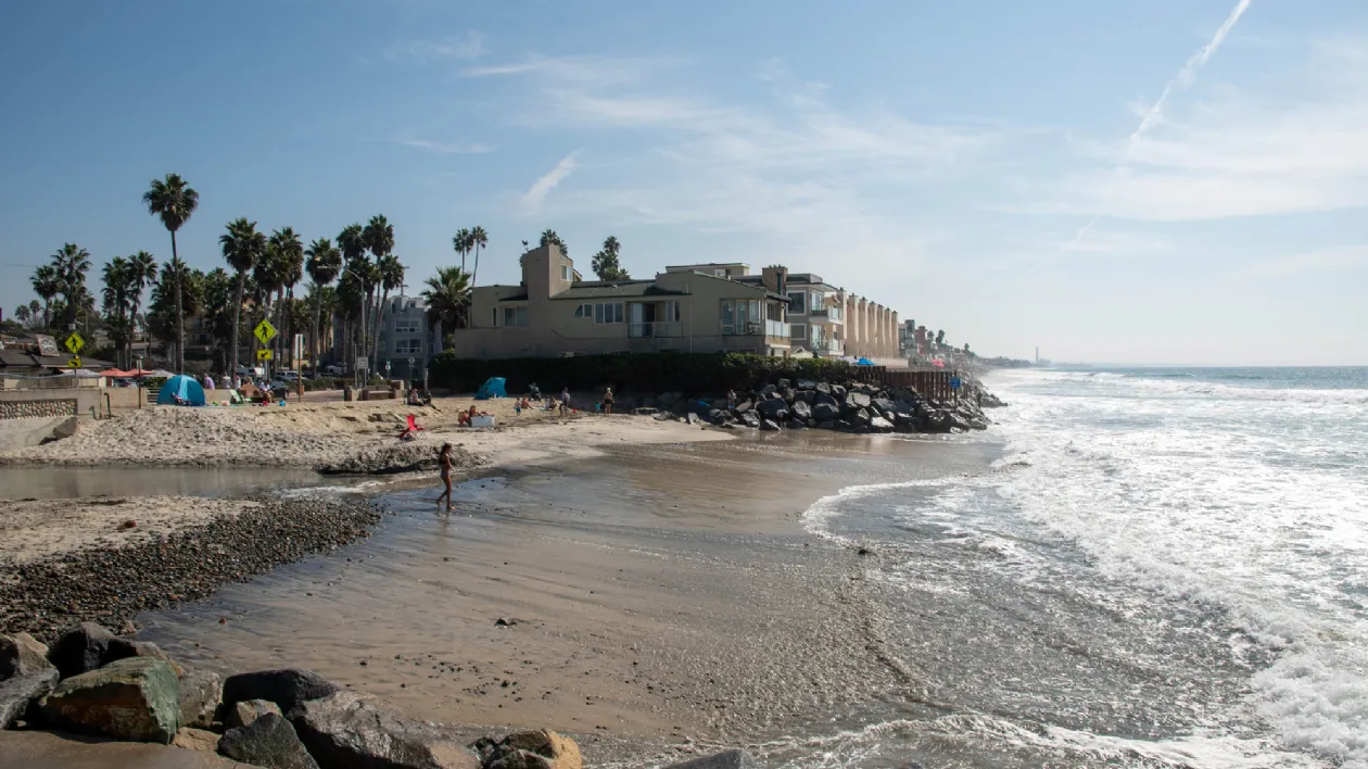 Are Dogs Allowed On Beaches In Oceanside