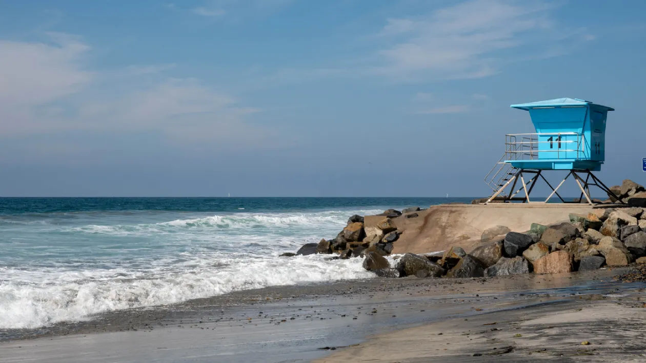 Are Dogs Allowed On Beaches In Oceanside