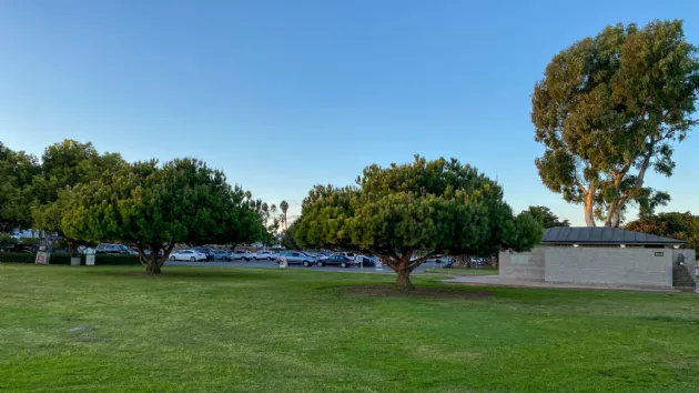 Lots of Parking at Crown Point Beach