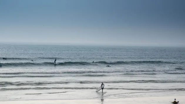 Longboarder Riding a Fun Wave at Tourmaline Surf Park