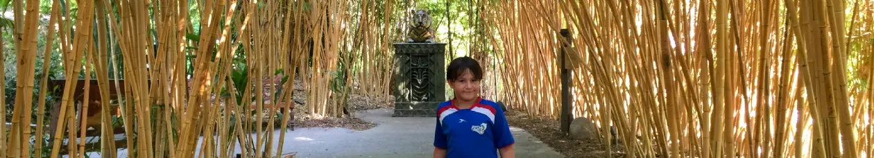 Kids Free San Diego Zoo Safari Park