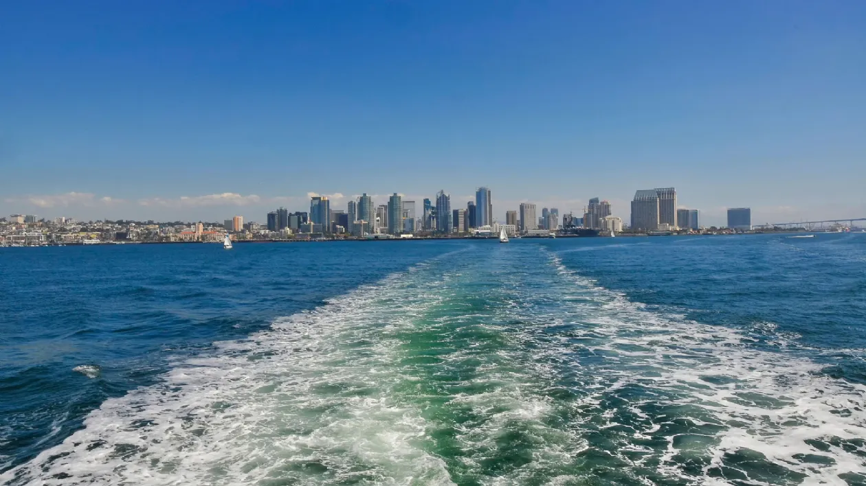 View of Downtown San Diego from Whale Watching Tour