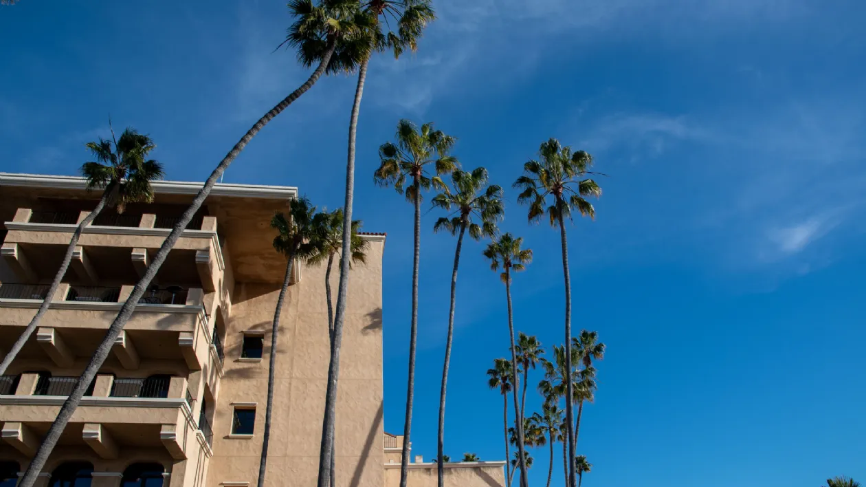 Stands at the Del Mar Thoroughbred Club