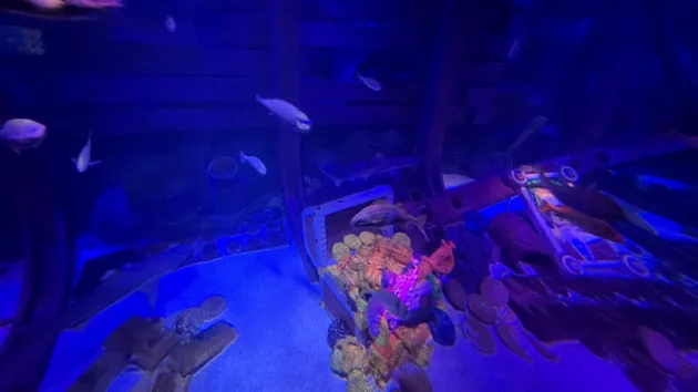 On the Submarine on the Deep Sea Adventure at Legoland Ca