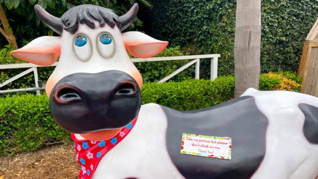 Fun Decorations for Kids at the San Diego County Fair