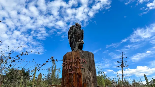 Condor Ridge Statue at the San Diego Zoo Safari Park