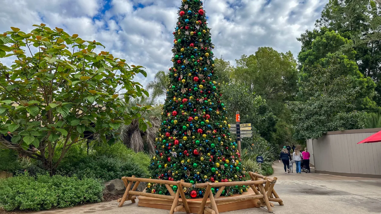 Christmas Time at the San Diego Zoo Safari Park
