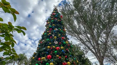 Wild Holidays at the San Diego Zoo Safari Park 2025 Guide