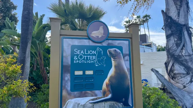 Sea Lion and Otter Spotlight Turtle at Turtle Reef in Seaworld San Diego