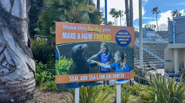 The Seal and Sea Lion Encounter at Seaworld San Diego