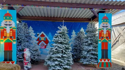 Best Christmas Tree Lots in San Diego