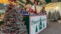 Best Christmas Tree Lots in San Diego