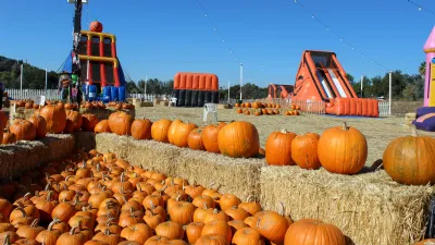 Go Pumpkin Picking at Local Farms across San Diego - Go Visit San 
