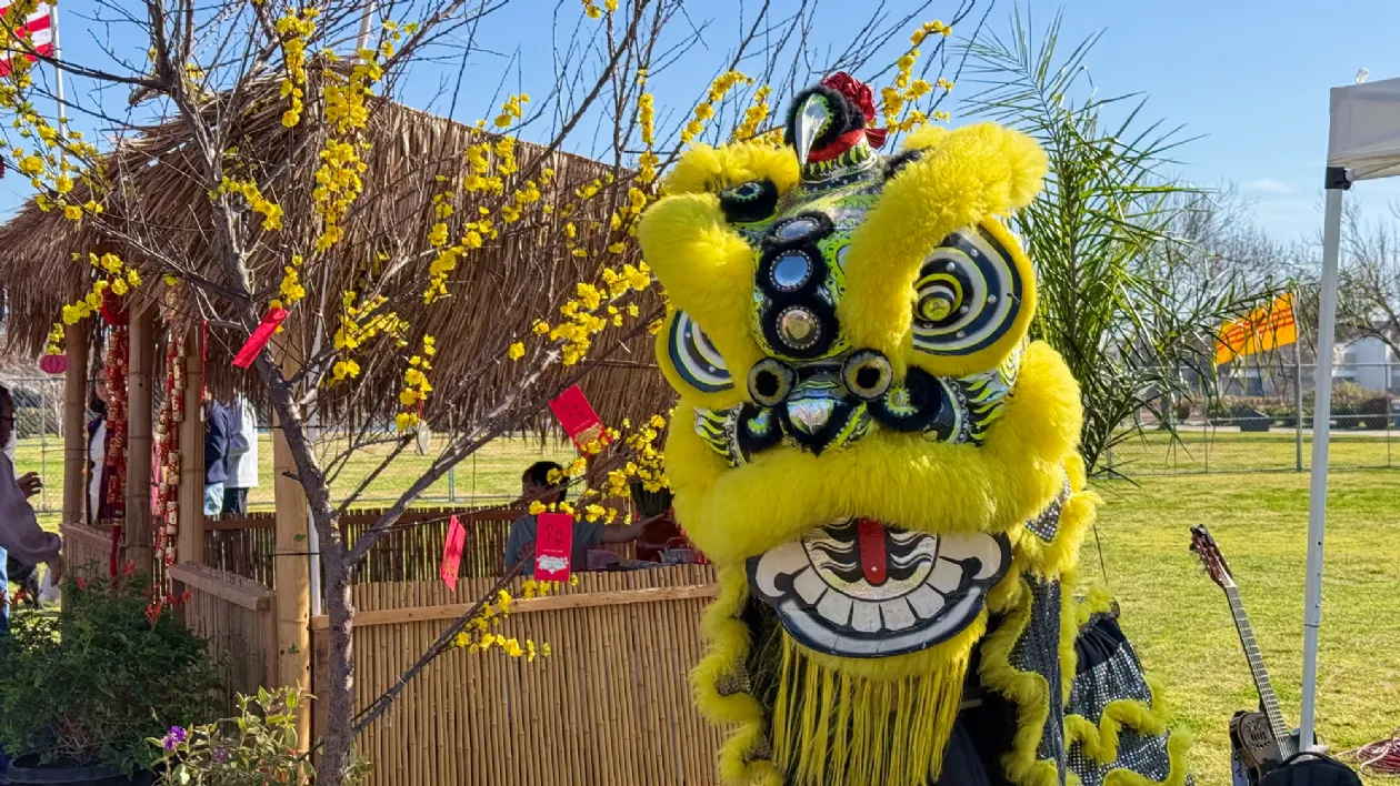 Dragon at the San Diego Tet Festival