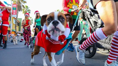 The Dog Run at the San Diego Santa Run