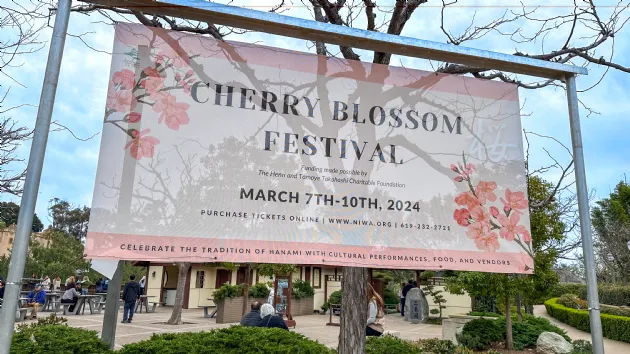 Cherry Blossom Festival at the Japanese Friendship Garden