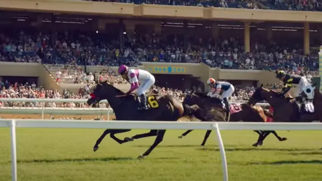 Del Mar Horse Races on Grass Turf
