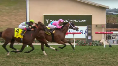 Del Mar Horse Races Fall Season 2025 Guide