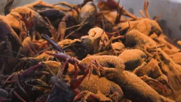 Crawfish at Gator by the Bay
