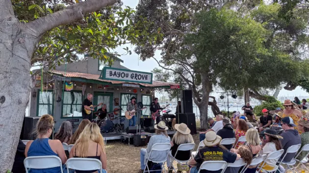 Watching Musicians at the Bayou Grove Stage at Gator by the Bay