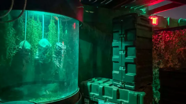 Aliens at Howl O Scream Seaworld San Diego