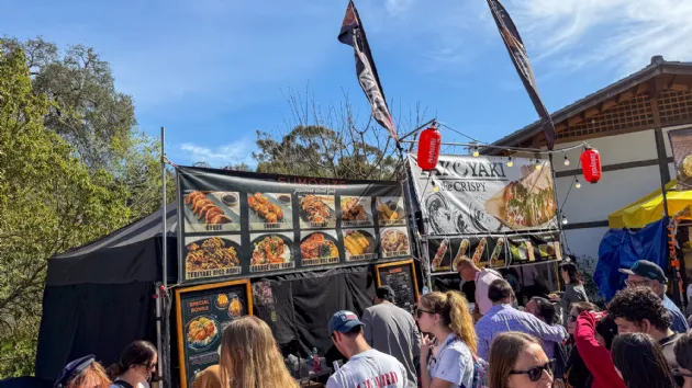 Delicious Food at the Cherry Blossom Festival