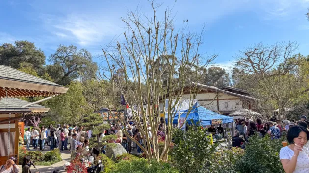 Lots of Food Booths at the Cherry Blossom Festival