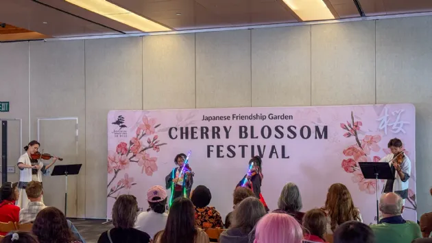 Stage Performances at the Cherry Blossom Festival