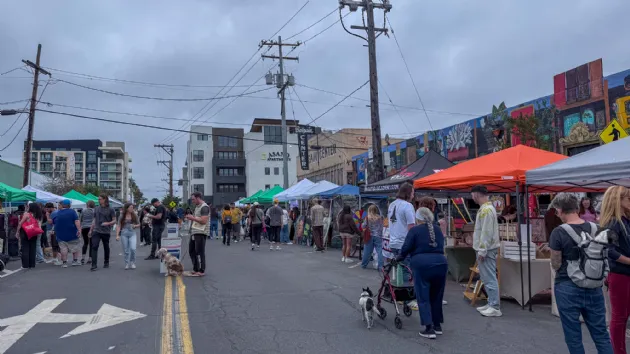 Art Fair at the North Park Music Fest