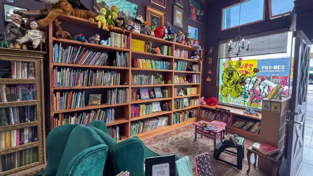 Lots to See at Verbatim Books in North Park