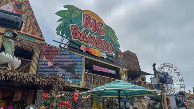 The Big Bamboo at the San Diego County Fair
