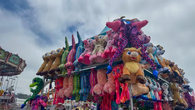 Win a Big Stuffed Animal at the San Diego County Fair