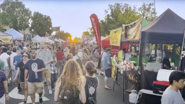 Food Vendors and More at the Adams Ave Street Fair