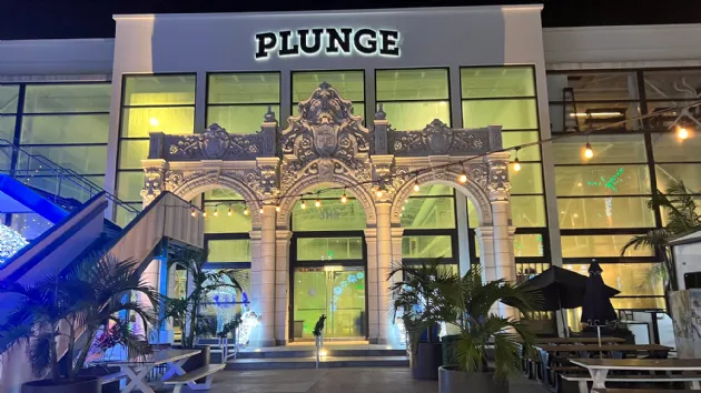 The Plunge at Winter Wonder at Belmont Park