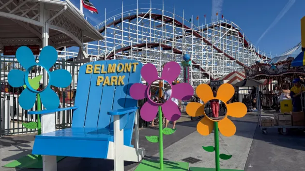 Festive Belmont in Bloom